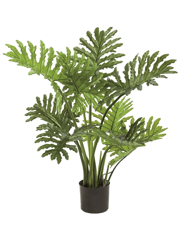 
                  
                    Philodendron Selloum Buisson artificiel 80 cm, feuillage découpé
                  
                