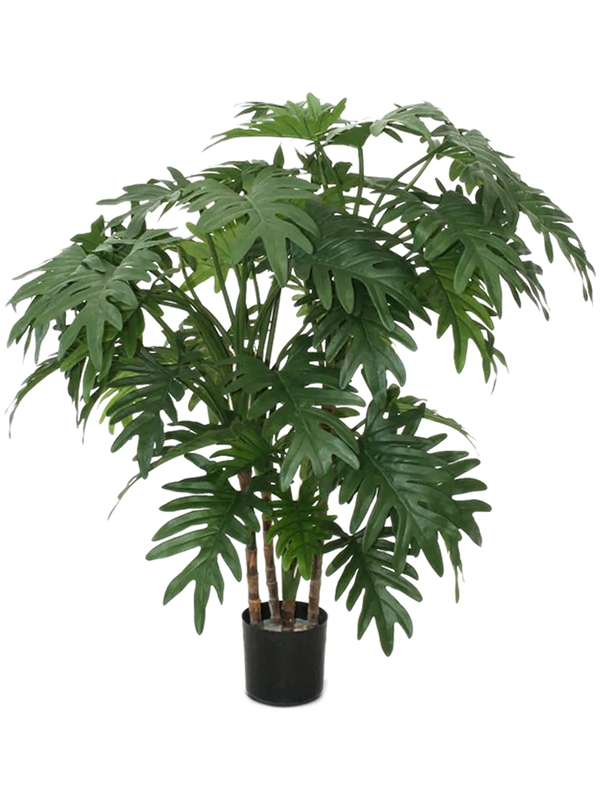 
                  
                    Philodendron Xanadu Bush artificiel 95 cm, feuillage découpé et pot de base noir
                  
                