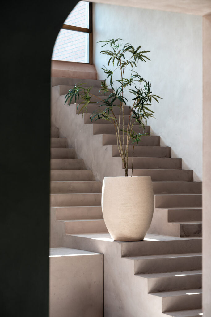 Plantes XXL