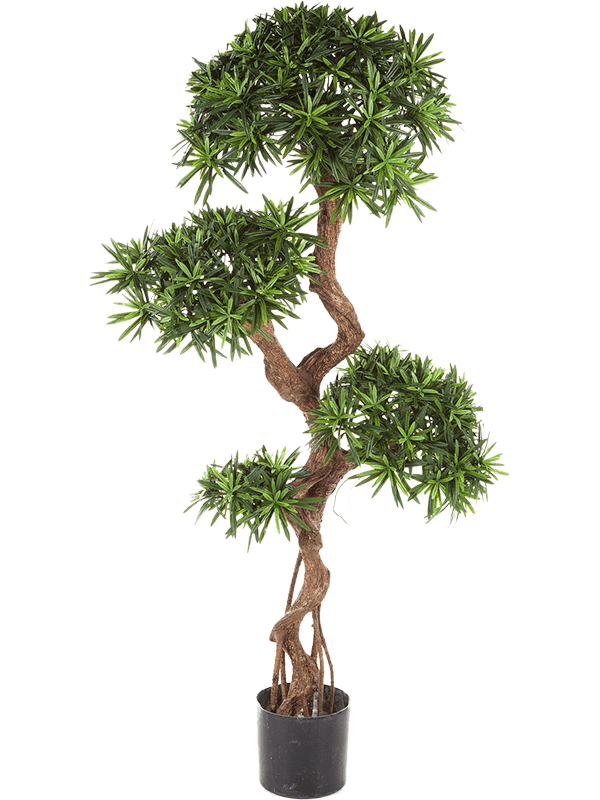 Podocarpus Ramifié artificiel 135 cm, feuillage en nuages et pot de base noir