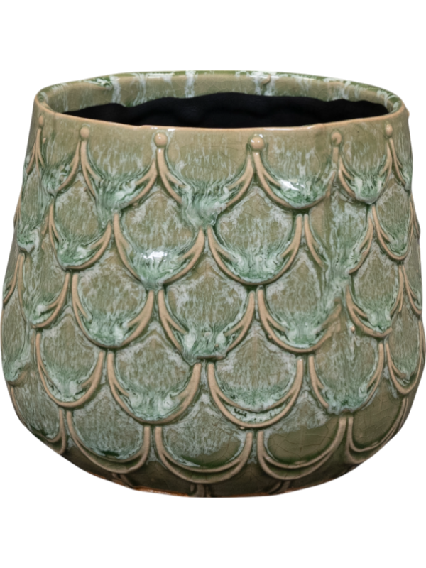 
                  
                    Pot Debby Ter Steege Vert thym, hauteur 12 cm
                  
                