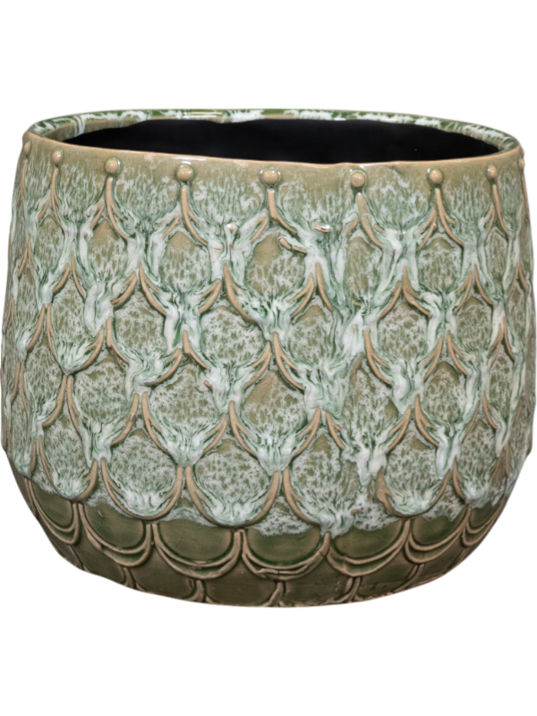 
                  
                    Pot Debby Ter Steege Vert thym, hauteur 14 cm
                  
                