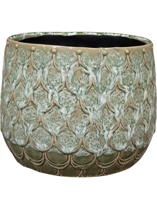 
                  
                    Pot Debby Ter Steege Vert thym, hauteur 15 cm
                  
                