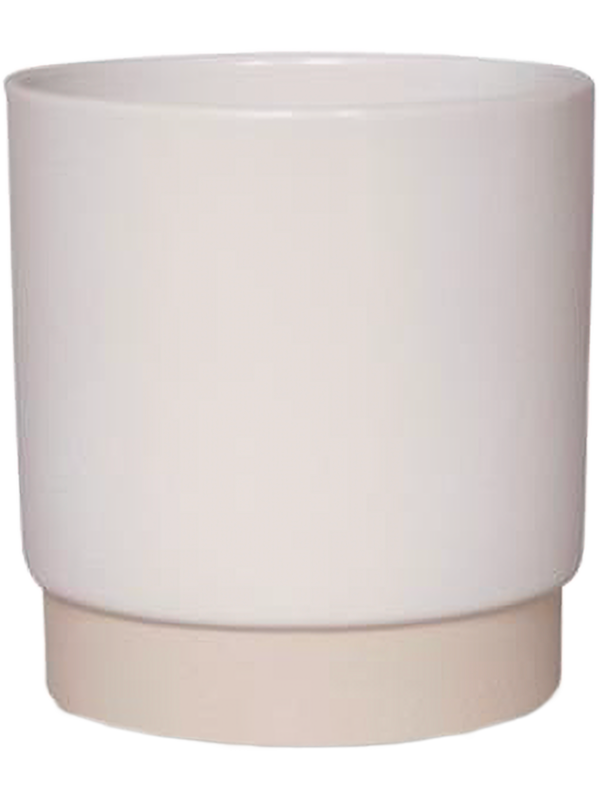 
                  
                    Pot Eno Duo Gina Da blanc en céramique émaillée bicolore, hauteur 8 cm, diamètre 8 cm, référence 6LIMENWH5.
                  
                