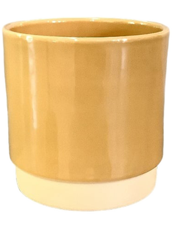 
                  
                    Pot Eno Duo Gina Da ocre poudré en céramique émaillée bicolore, hauteur 13 cm, diamètre 13 cm, référence 6LIMENDO3.
                  
                