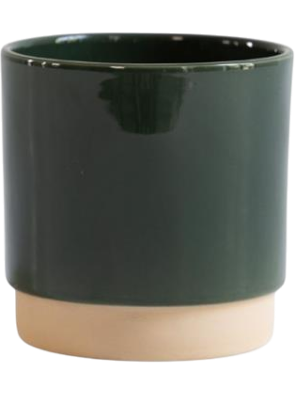 
                  
                    Pot Eno Duo Gina Da vert foncé en céramique émaillée bicolore, hauteur 8 cm, diamètre 8 cm, référence 6LIMENDG0.
                  
                