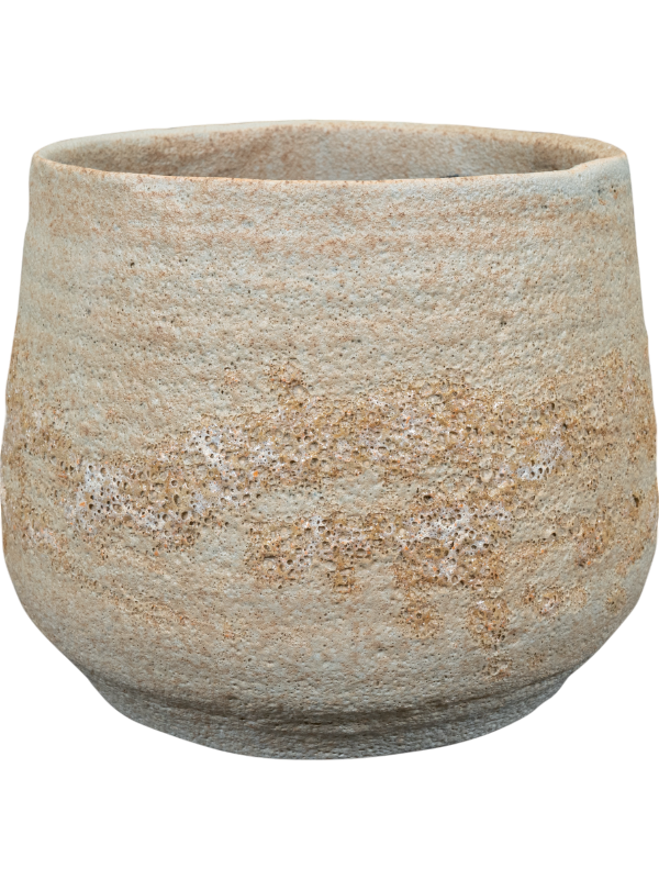 
                  
                    Pot Jelmer Ter Steege Menthe, hauteur 17 cm
                  
                