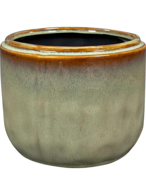 
                  
                    Pot rond Mabel Ter Steege Sauge, hauteur 13 cm
                  
                