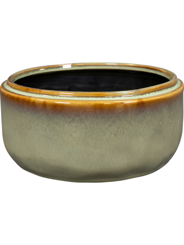 
                  
                    Coupe Mabel Ter Steege Sauge, hauteur 10 cm
                  
                
