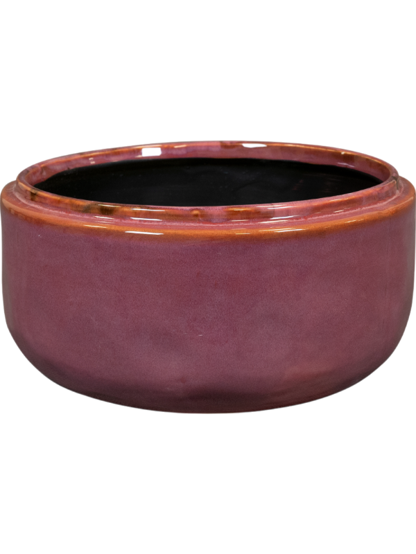 
                  
                    Coupe Mabel Ter Steege Cerise, hauteur 10 cm
                  
                