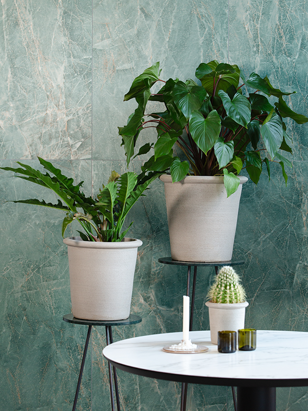 
                  
                    Mise en scène de pots Terre 1240C en céramique gris béton avec des plantes, accessoires non inclus
                  
                