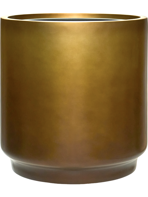 
                  
                    Pot Baq gradient cilinder
                  
                