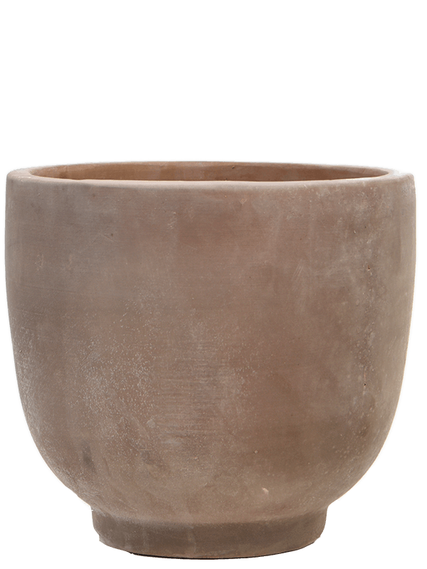 
                  
                    Pot Terra Cotta Kevin
                  
                