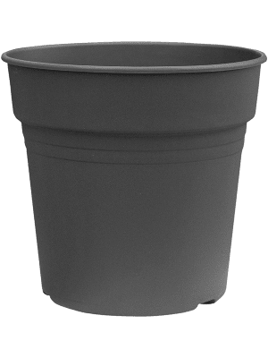 pot plastique plante Pot de culture plante
