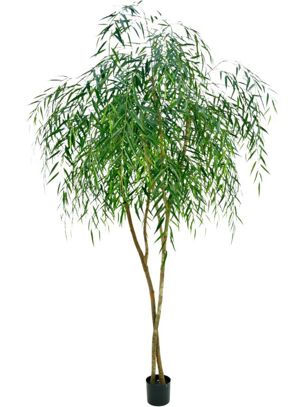
                  
                    Saule artificiel Silk-ka de 243 cm, couronne fournie de longues feuilles vertes retombantes
                  
                