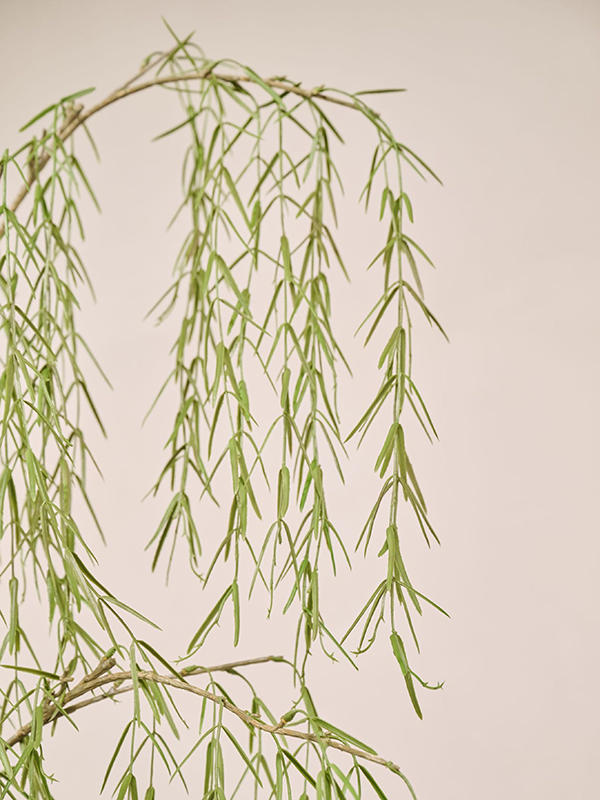 
                  
                    Détail des petites feuilles étroites du saule artificiel Silk-ka de 147 cm
                  
                