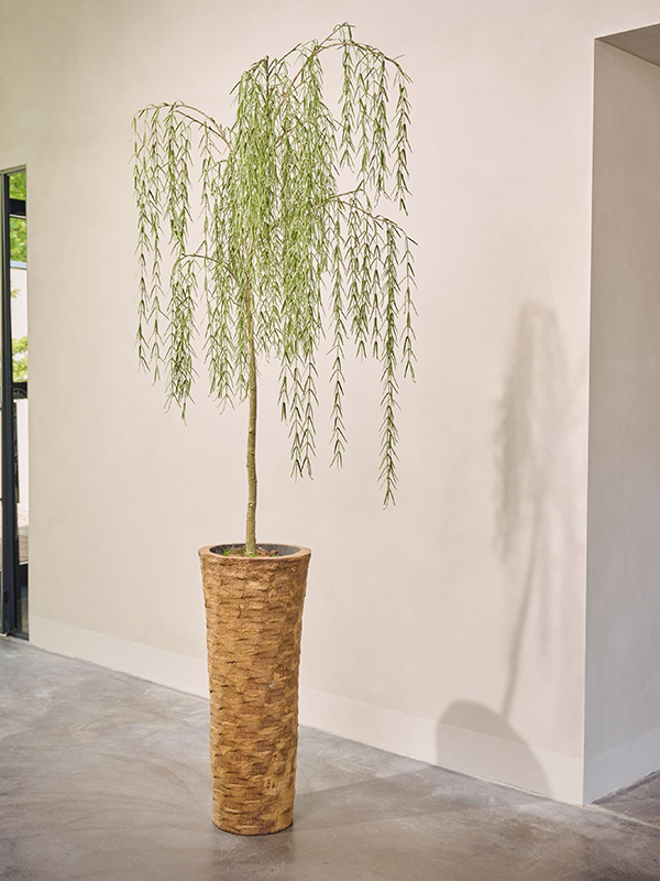 
                  
                    Saule artificiel Silk-ka de 187 cm en intérieur, cache-pot décoratif vendu séparément
                  
                
