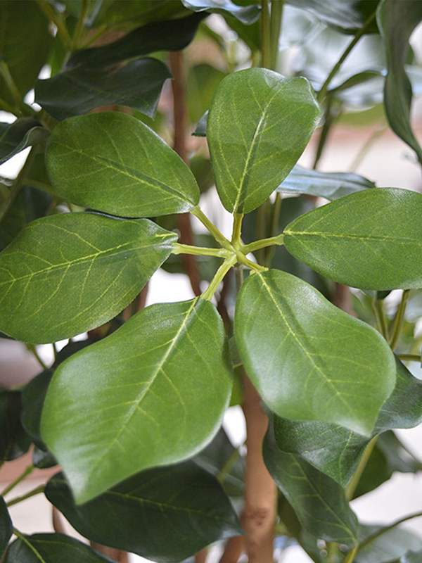 
                  
                    Détail des folioles vertes et des nervures du Schefflera Exotica (FR) artificiel
                  
                