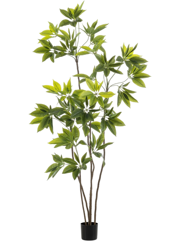 Schefflera Multi Tree artificiel, plusieurs tiges et feuillage vert étagé, pot de support noir