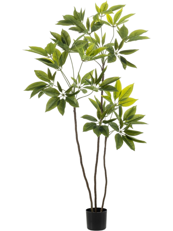 Schefflera Tree artificiel, feuillage vert en ombrelles sur des tiges fines, pot de support noir
