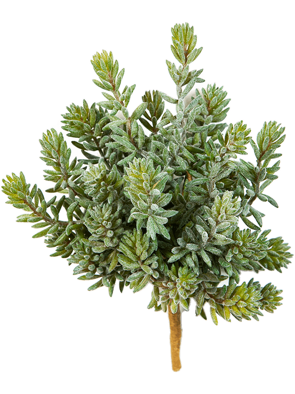 Sedum Buisson (26x) artificiel