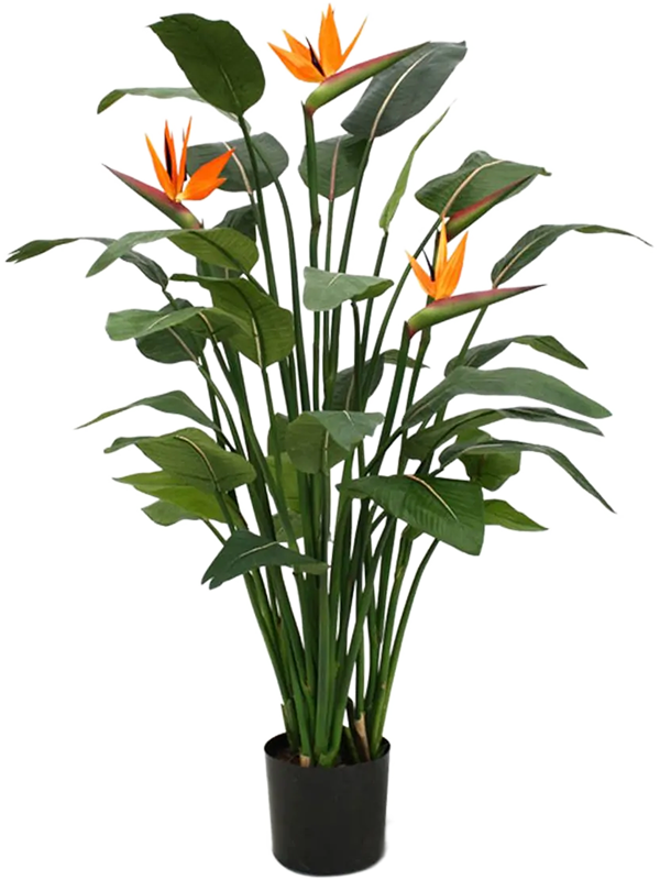 
                  
                    Strelitzia Reginae Artificiel
                  
                