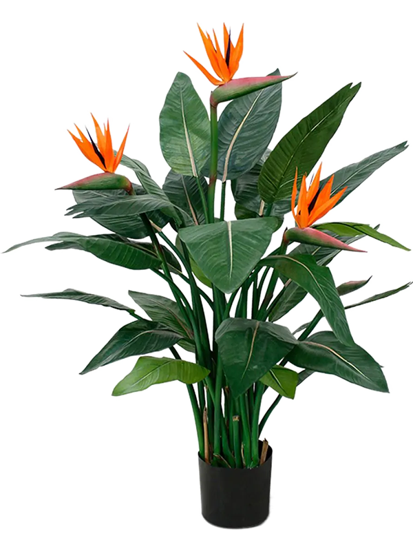 Strelitzia Reginae Artificiel
