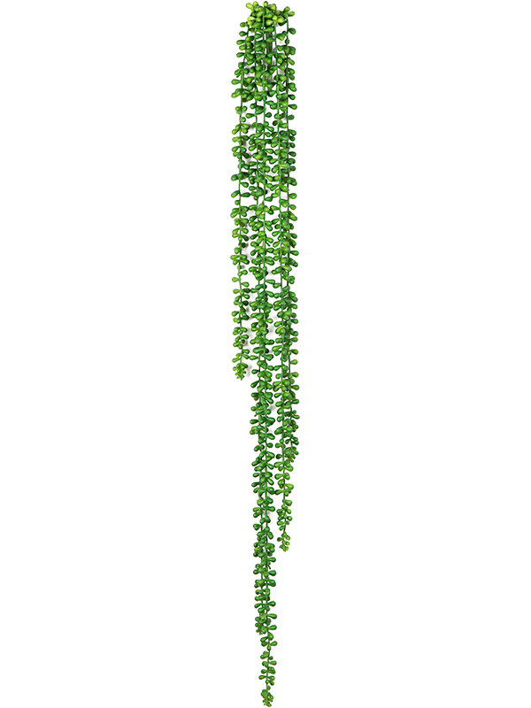 String Of Pearls retombant artificiel