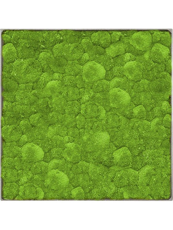 
                  
                    Tableau carré en mousse boule stabilisée Nova Frame, 50 × 50 cm, Natural-concrete — CMSS01261
                  
                