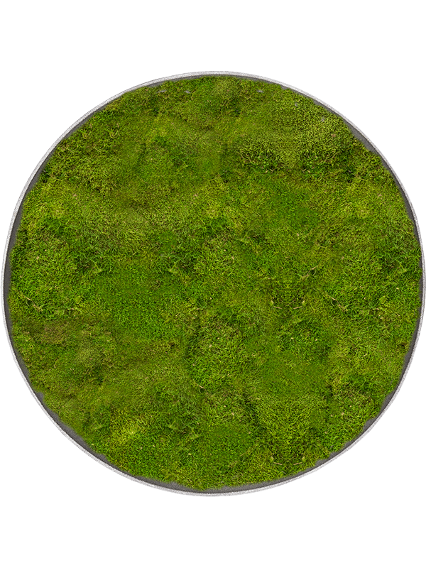 
                  
                    Tableau rond Nova Frame 40 cm, finition Natural-concrete, référence CMSS00830
                  
                