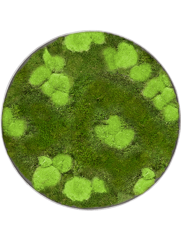 
                  
                    Tableau rond Nova Frame 40 cm, finition Natural-concrete, référence CMSS00832
                  
                
