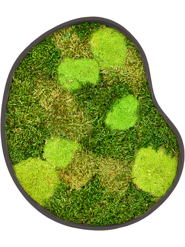 
                  
                    Tableau en mousse naturelle stabilisée Organic Frame n°1, finition Earth, 40 × 35 cm
                  
                