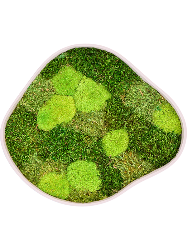 
                  
                    Tableau de mousse naturelle stabilisée Organic Frame n°2, finition Sand, 40 × 35 cm
                  
                