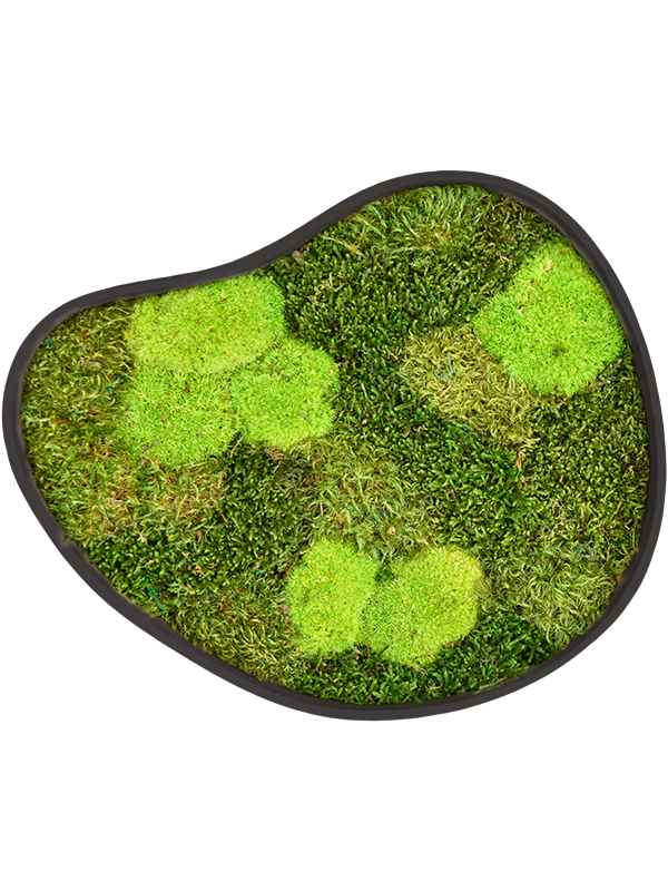 
                  
                    Tableau de mousse naturelle stabilisée Organic Frame n°3, finition Earth, 40 × 35 cm
                  
                