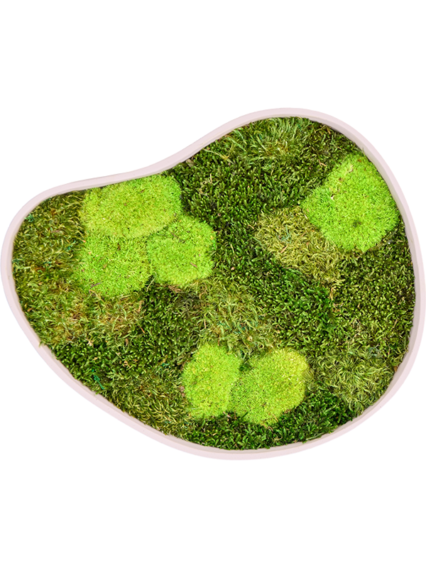 
                  
                    Tableau de mousse naturelle stabilisée Organic Frame n°3, finition Sand, 40 × 35 cm
                  
                