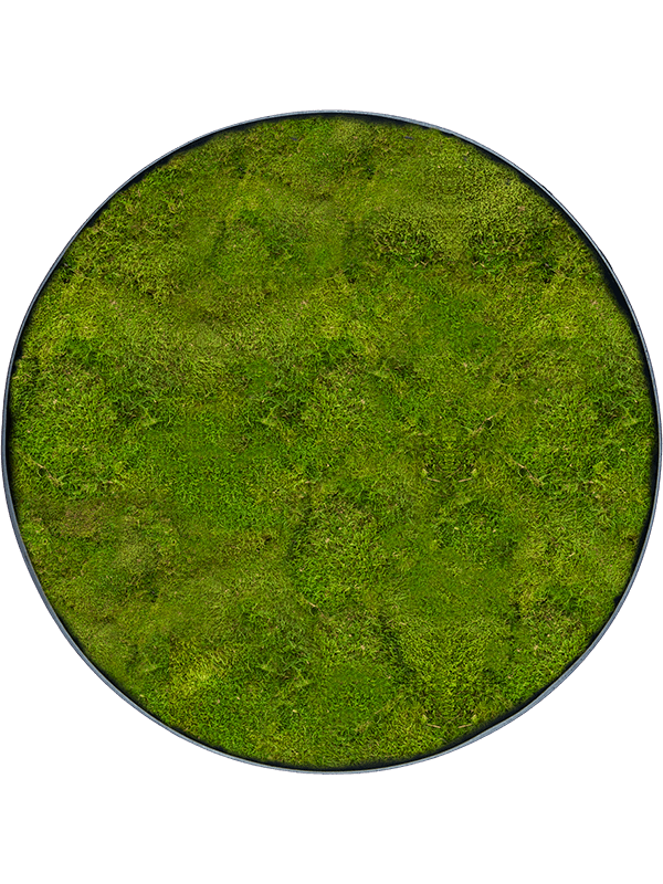 
                  
                    Tableau rond en mousse plate stabilisée Nova Frame, finition Anthracite-concrete
                  
                
