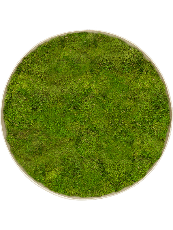
                  
                    Tableau rond en mousse plate stabilisée Nova Frame, finition Antique White-concrete
                  
                