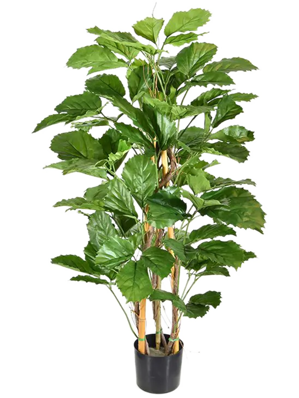 Tetrastigma Voinierianum Buisson artificiel, feuillage vert et pot de base — 8DP141012
