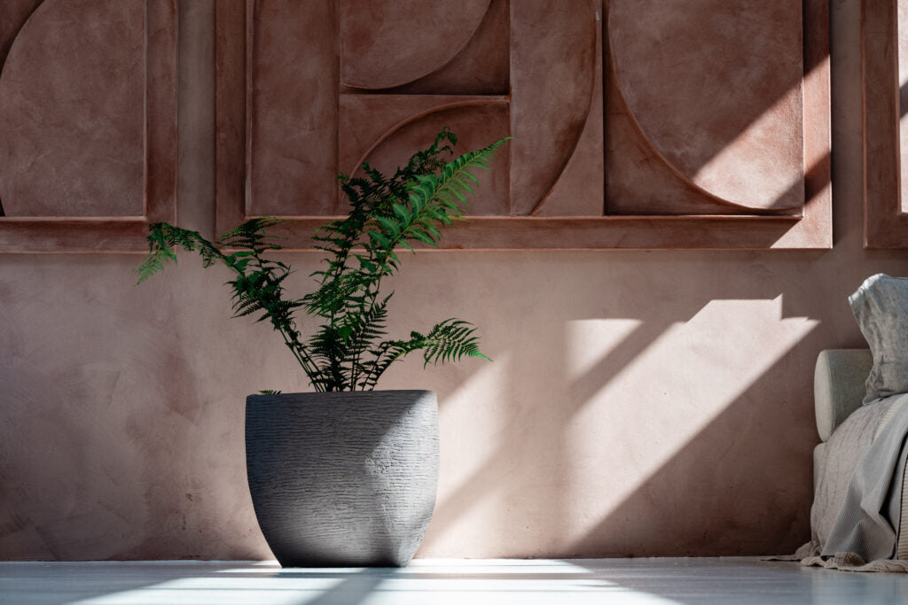 NATURA, Plantes & Aménagements Végétal