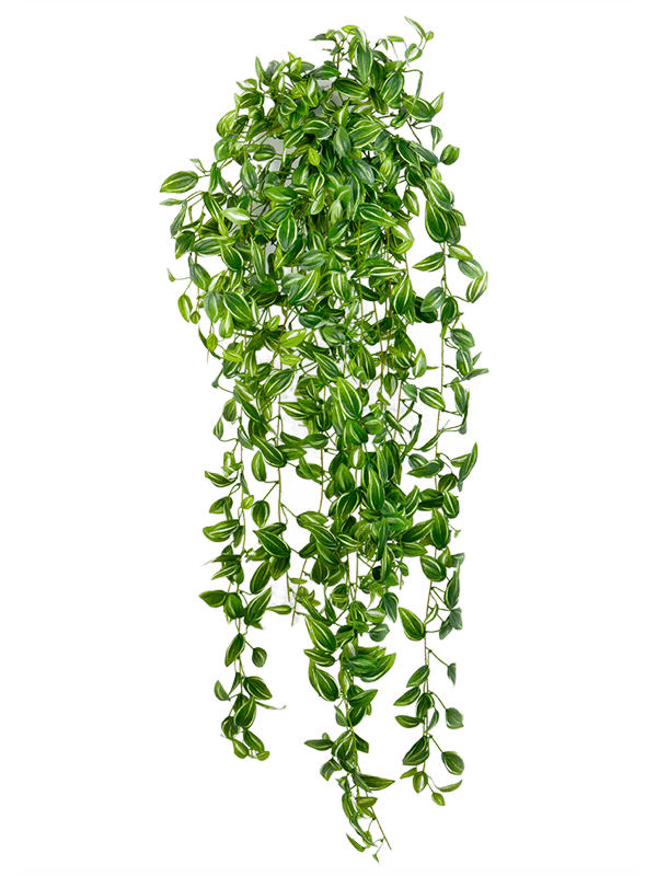 Tradescantia Hanging Bush artificiel à feuillage vert panaché retombant