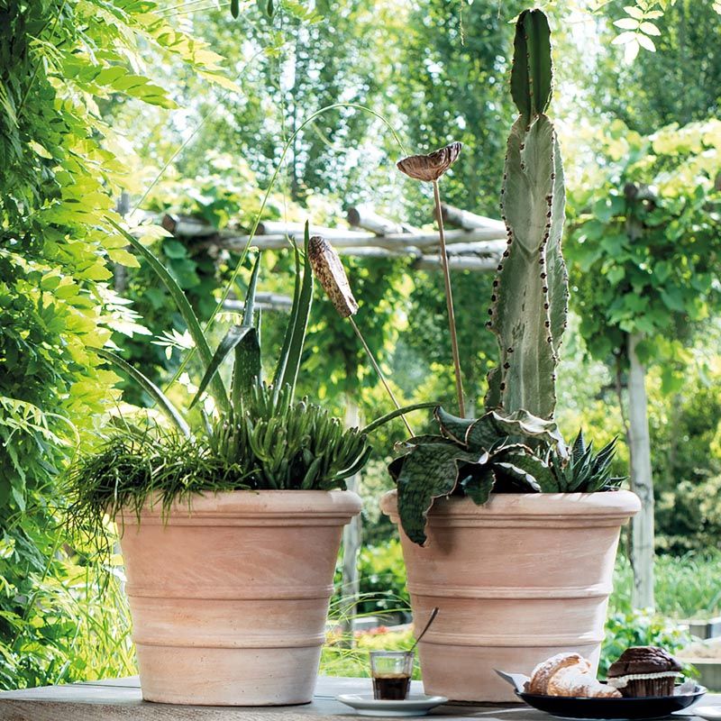 
                  
                    Pot Vaso Siena toscana Terre cuite
                  
                