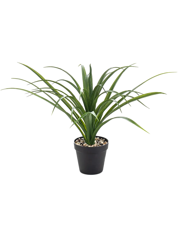 Yucca In Pot UV artificiel, rosette basse de feuilles vertes arquées dans un pot de base noir