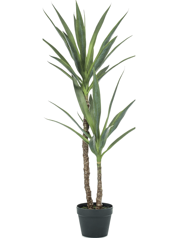
                  
                    Yucca Ramifié artificiel, deux tiges texturées et bouquets de feuilles vertes élancées dans un pot de base noir
                  
                