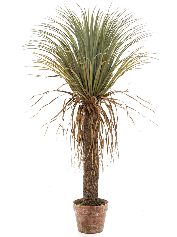 Yucca Touffe artificiel, couronne de feuilles fines vertes et retombées brunes sur une tige texturée