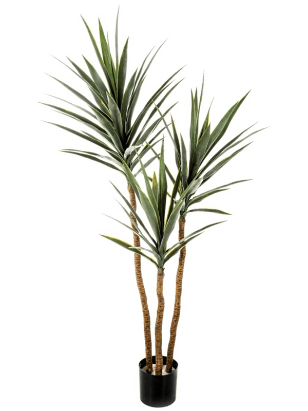 Yucca Tree De Luxe artificiel, trois troncs naturels et couronnes de feuilles vertes dans un pot de base noir