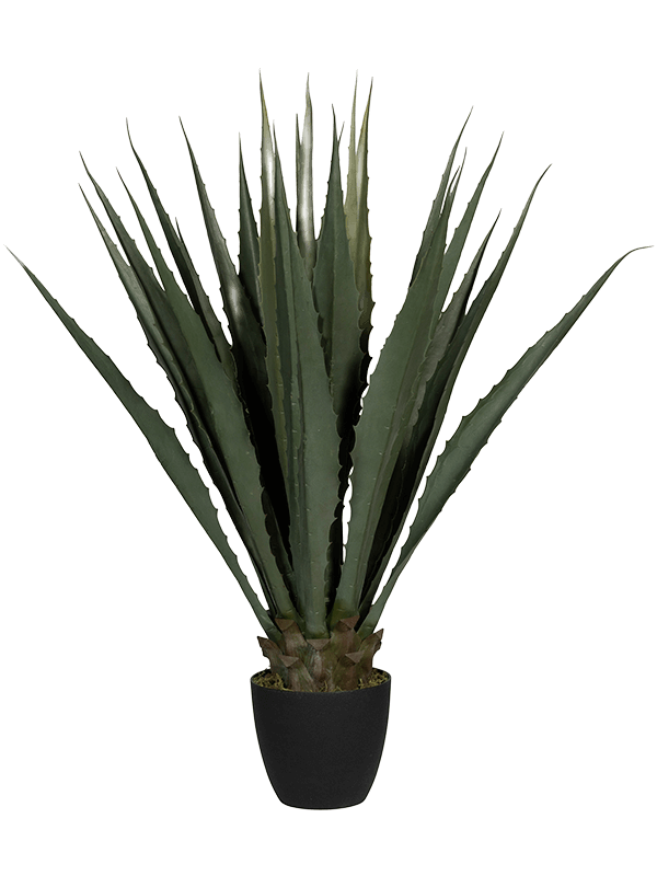 Agave artificiel