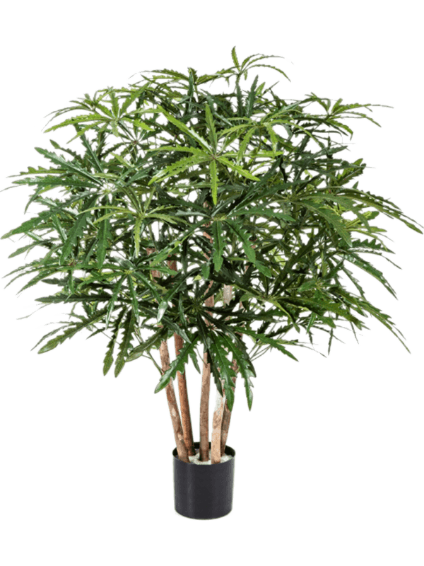 
                  
                    Aralia ramifié artificiel
                  
                