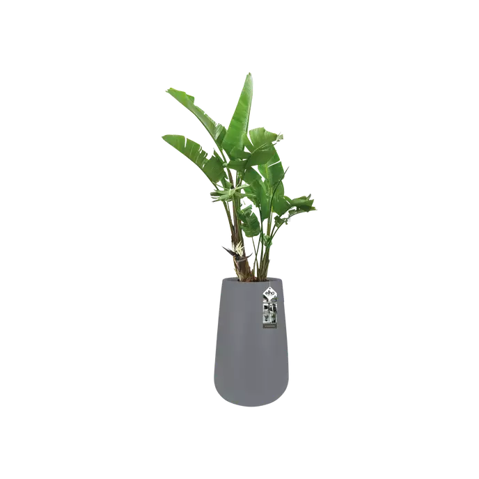
                  
                    Pot Elho Pure cone hight
                  
                