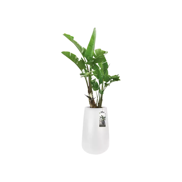 
                  
                    Pot Elho Pure cone hight
                  
                