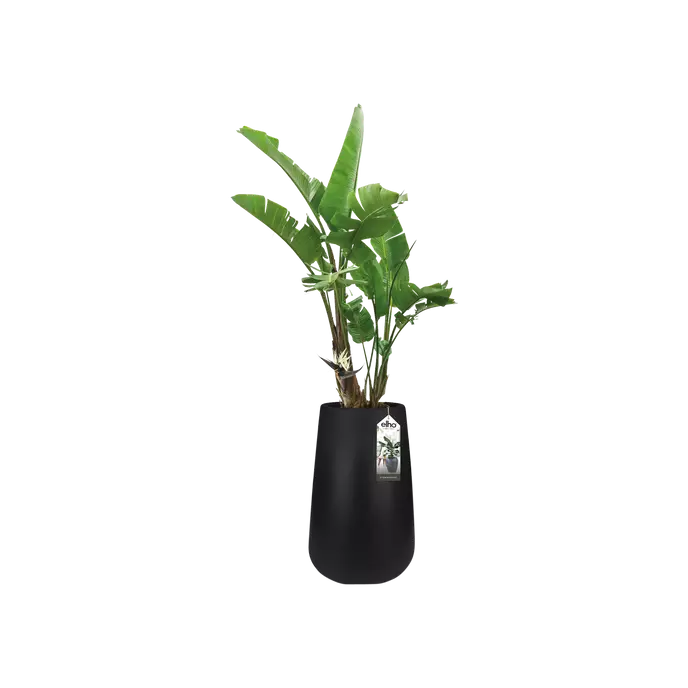 
                  
                    Pot Elho Pure cone hight
                  
                